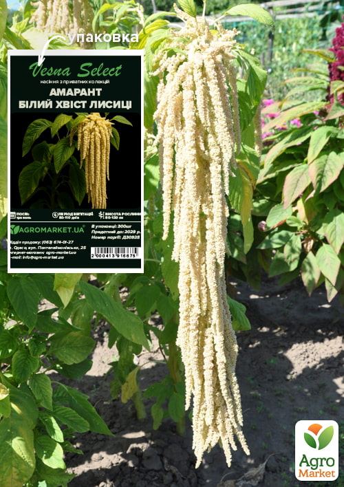 Амарант "Белый хвост лисицы" ТМ "Vesna Select" 300шт