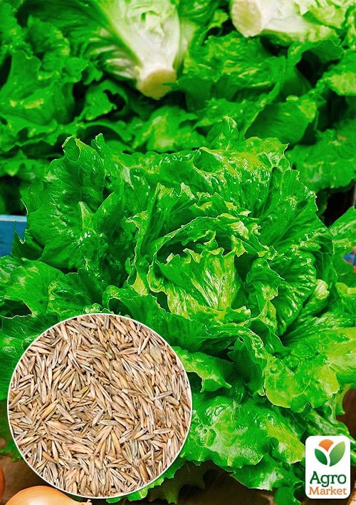 На вагу Салат "Ольжич" ТМ "Весна" ціна за 7г