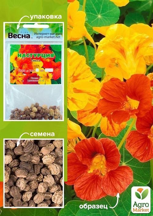 Настурція "Кучерява суміш" (Зипер) ТМ "Весна" 2г