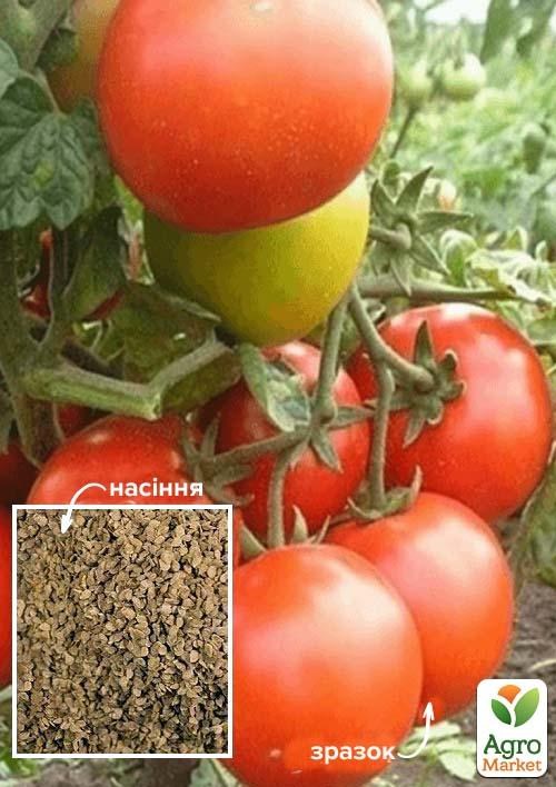 Томат "Джина" ТМ "Весна" 100г