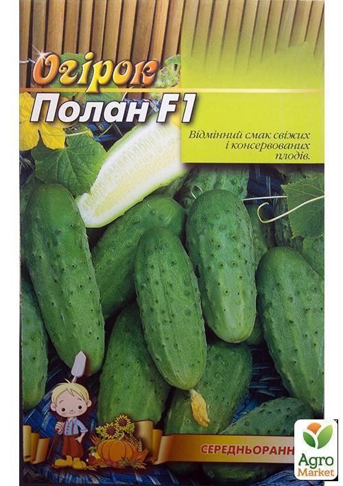 Огірок "Полан F1" (Великий пакет) ТМ "Весна" 1.5г - фото 2