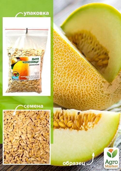 Диня "Колгоспниця" ТМ "Весна" 100г