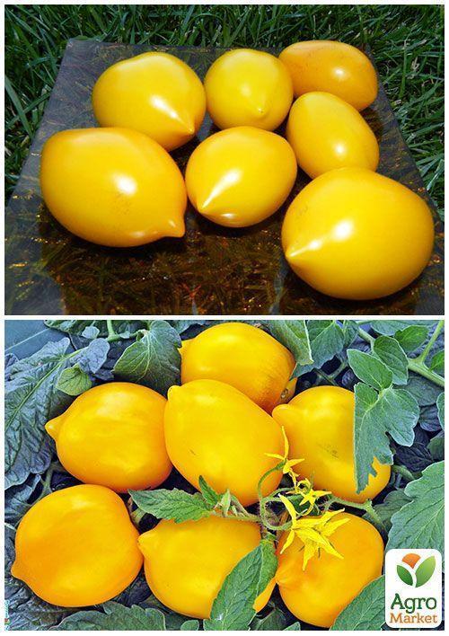 На развес Томат "Чудо света" ТМ "Весна" цена  за 1г - фото 2