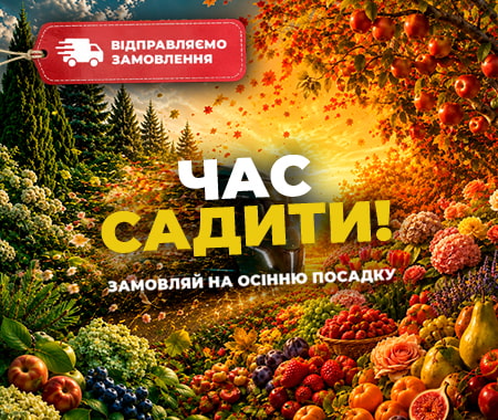 Час садити. Відправляємо Ваші замовлення!