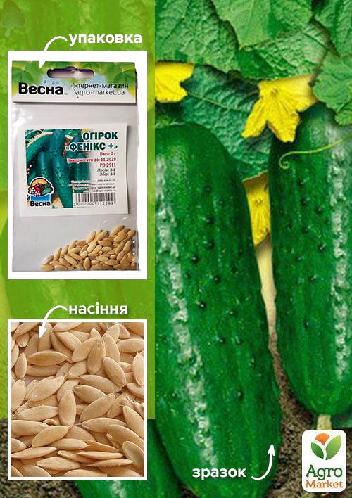 Огірок "Фенікс +" (Зипер) ТМ "Весна" 2г
