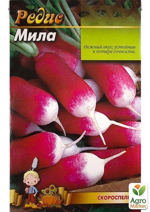 Редис "Мила" (Великий пакет) ТМ "Весна" 7г - фото 2