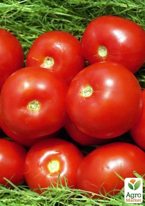 Томат "Волгоградский" (в банке) ТМ "Весна Органик" 3г