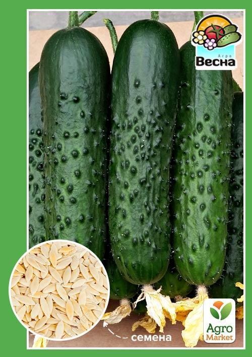 Огірок "Водограй" ТМ "Весна" 0.5г