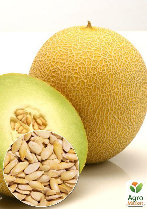 На развес Дыня "Ранняя-133" ТМ "Весна" цена за 6г
