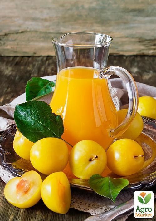 Ексклюзив! Слива яскраво-жовта "Сонячний відтінок" (Sunny shade) (преміальний великоплідний сорт) - фото 4