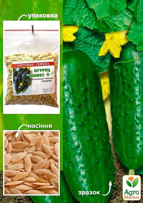 Огірок "Фенікс +" ТМ "Весна" 100г
