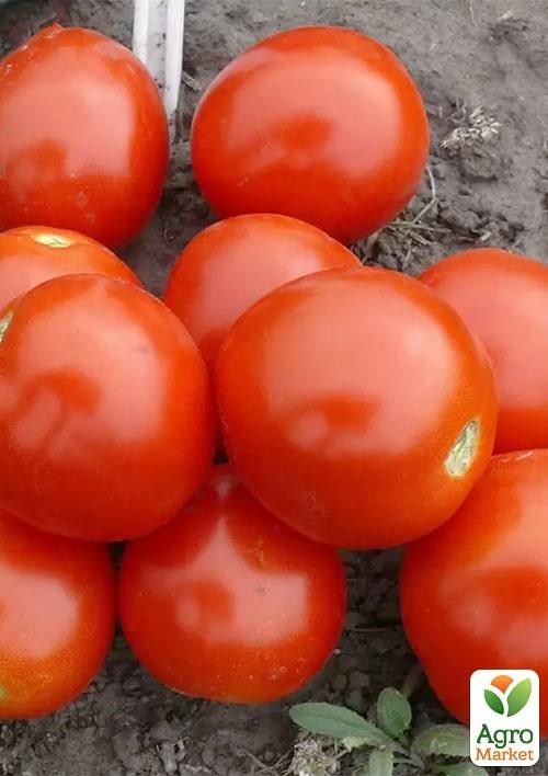 Томат детерминантный "1855 F1" ТМ "Lark Seeds" 500шт