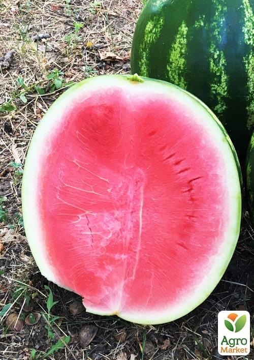 Кавун "Амфіон" (у банці) ТМ "Весна" 100г