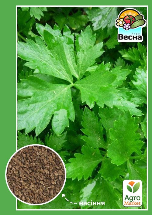 Селера "Листовий" ТМ "Весна" 0.3г