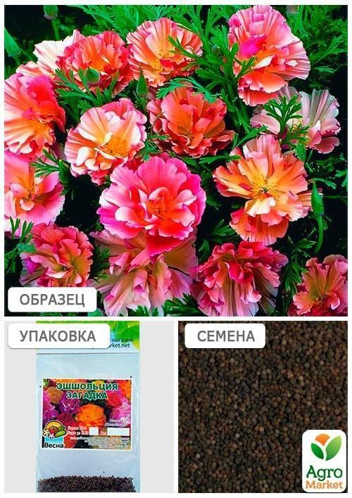 Ешшольція "Загадка" (Зипер) ТМ "Весна" 1г - фото 3