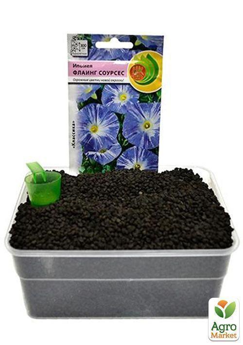 На развес Ипомея "Флаинг соурсес" ТМ "Весна" цена за 2г - фото 2