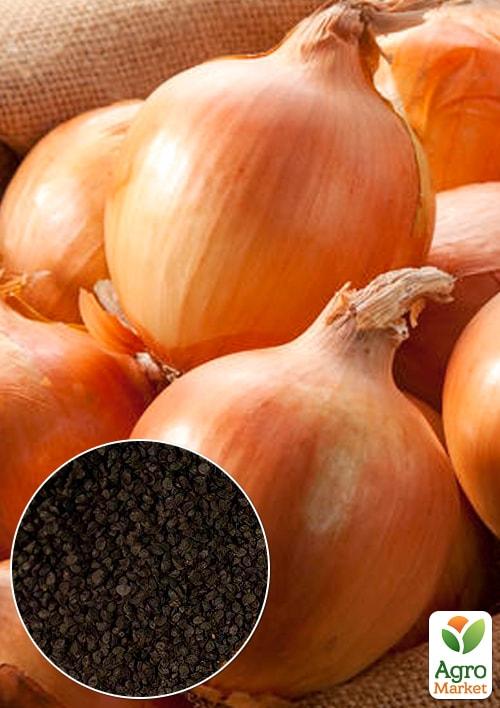 На развес Лук "Крепыш" ТМ "Весна" цена за 5г