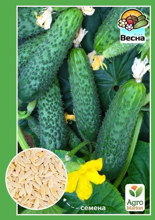 Огурец "Емеля F1" ТМ "Весна"  0.25г