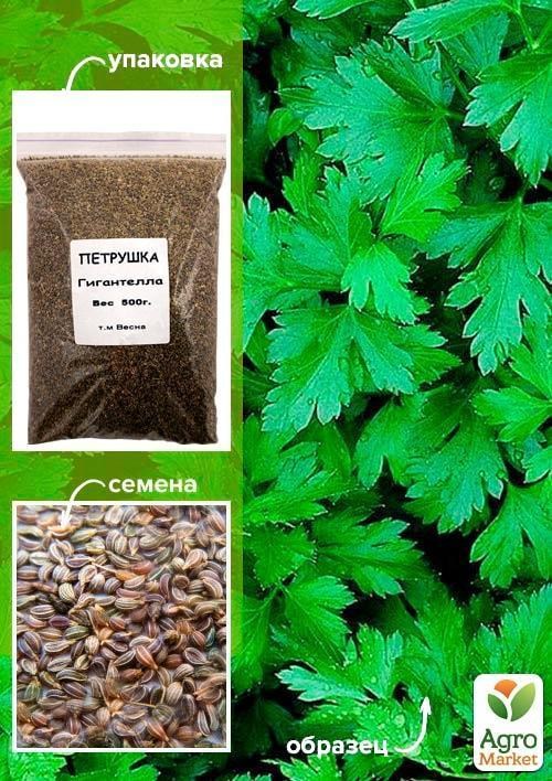 Петрушка "Гігантелла" ТМ "Весна" 500г