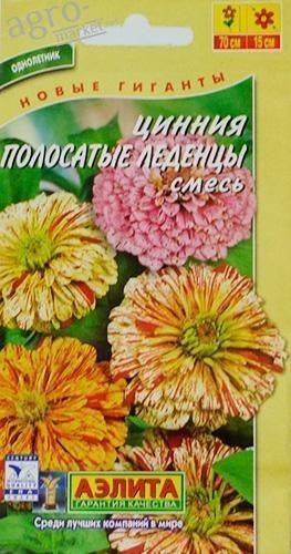 Цинния "Полосатые леденцы" ТМ "АЭЛИТА" 0.3г