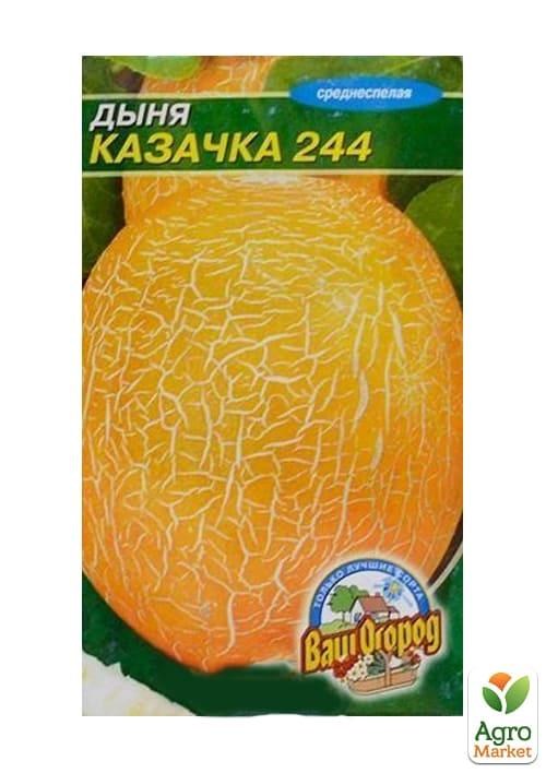 Дыня "Казачка 244" ТМ "Весна" 1.5г - фото 2