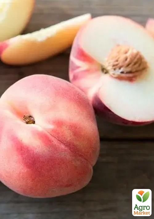 Персик "Манон" (летний сорт, средний срок созревания) - фото 4