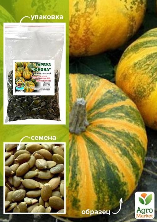 Гарбуз "Юнона" ТМ "Весна" 100г