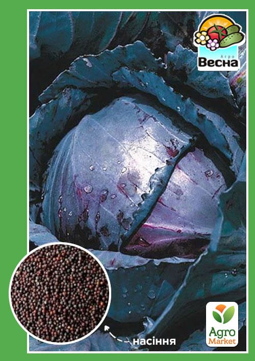 Капуста краснокочанная "Лангедейкер" ТМ "Весна" 0,3г