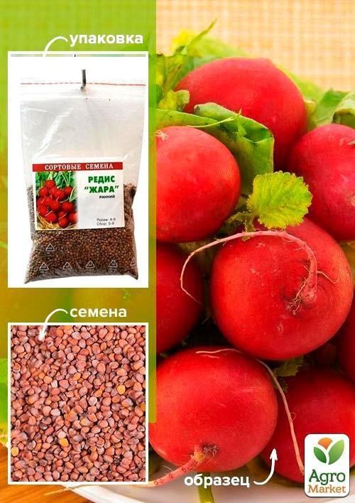 Редис "Жара" ТМ "Весна" 100г