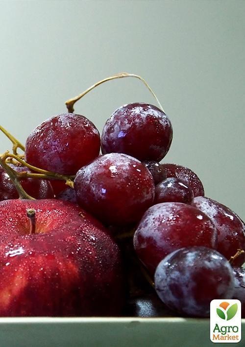 Виноград "Бруно" - фото 3