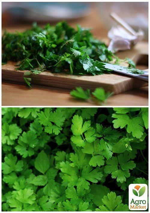 На развес Петрушка "Урожайная" ТМ "Весна" цена за 10г - фото 3