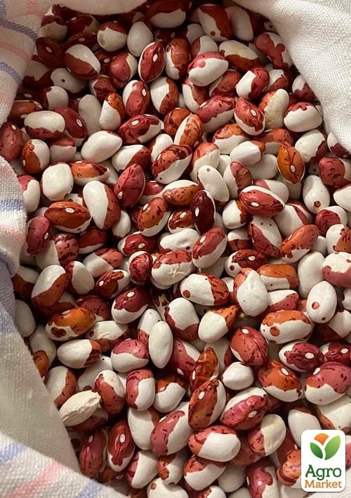 На развес Фасоль "Попугай" ТМ "Весна" цена за 20г - фото 2