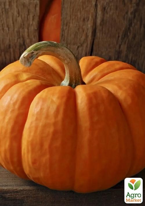 Тыква "Вест" ТМ "Профессиональные семена" 10шт - фото 2