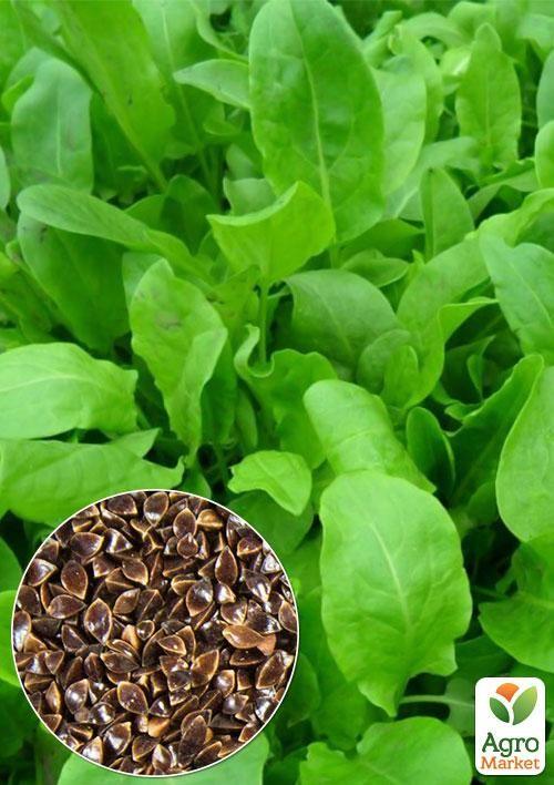 На вагу Щавель "Широколистий" ТМ "Весна" ціна за 6г