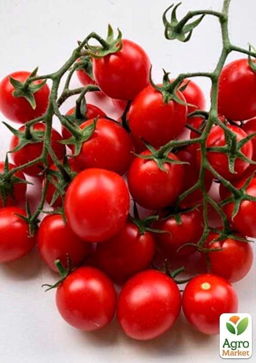 Томат детермінантний чері "Дредд F1" ТМ "Lark Seeds" 500шт