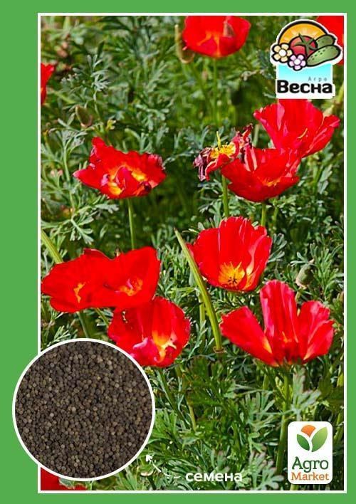Ешшольція "Червона Королева" ТМ "Весна" 0.3г