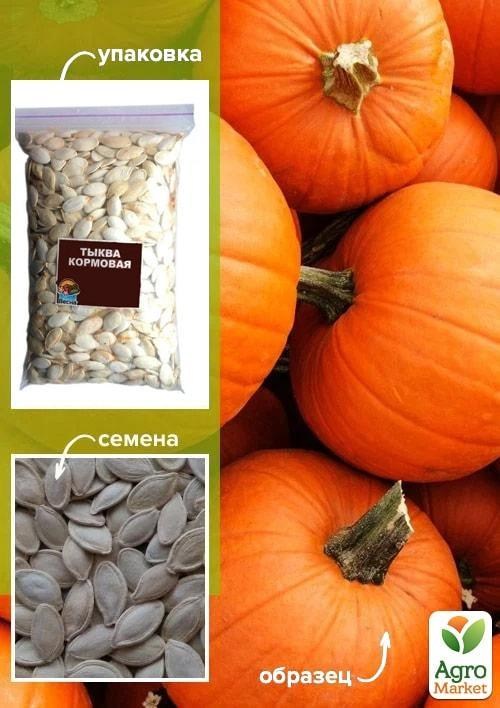 Гарбуз "Кормовий" ТМ "Весна" 500г - фото 2