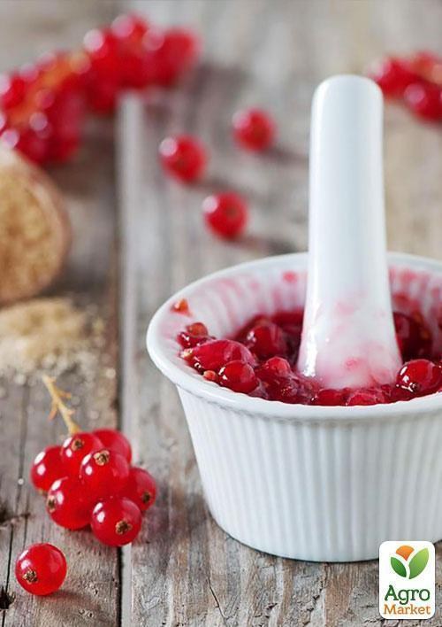 Эксклюзив! Смородина ярко-красная "Любовь" (Love) (премиальный ремонтантный сорт) - фото 5