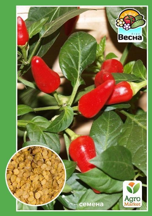 Перец горький "Комнатный" ТМ "Весна" 0.1г