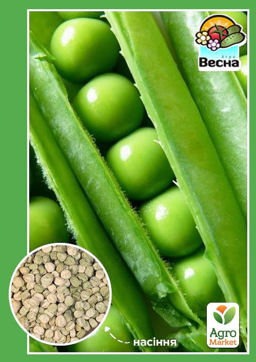 Горох "Великий стручок" (Новий пакет) ТМ "Весна" 10г