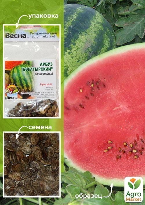 Арбуз "Богатырский" (Зипер) ТМ "Весна" 4г
