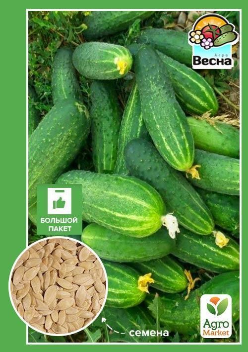 Огірок "Далекосхідний 27" (Великий пакет) ТМ "Весна" 2г