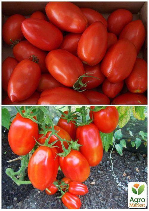 На вагу Томат "Карась" ТМ "Весна" ціна за 1г - фото 3