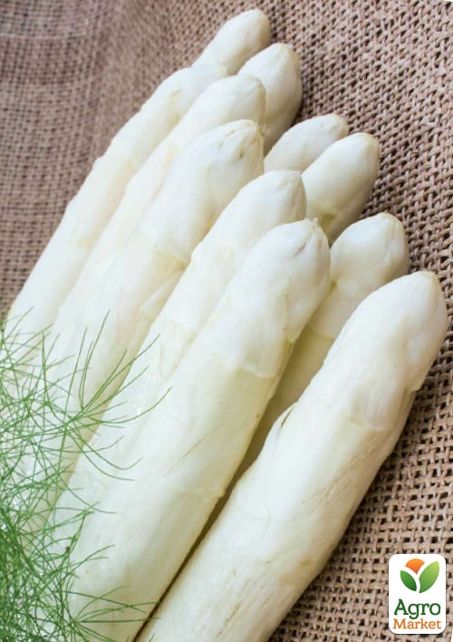 Спаржа "Деликатесная" ТМ "Vesna Select" 1г - фото 2