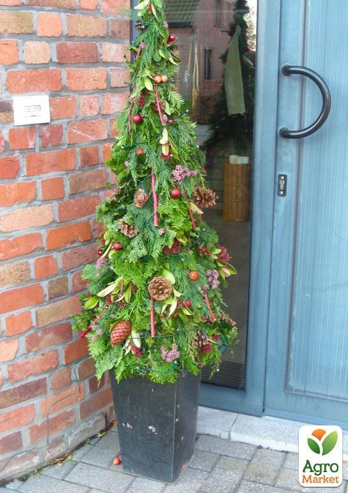 Туя Новорічна «Smaragd» (висота 120см) - фото 3