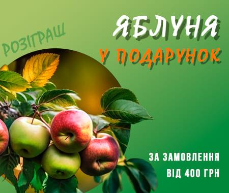 Розіграш: яблуня у подарунок за замовлення від 400 грн!