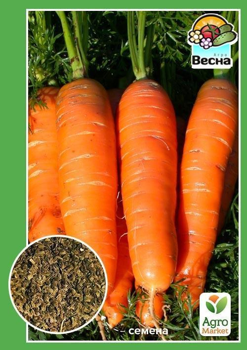 Морква "Помаранчевий король" (Новий пакет) ТМ "Весна" 2г