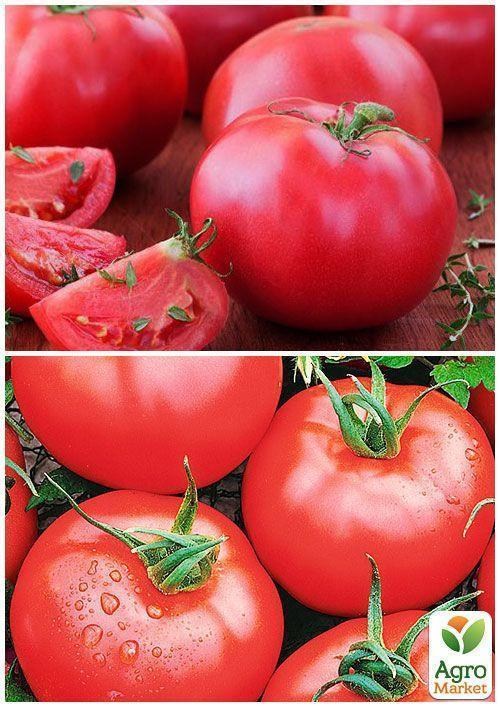 На вагу Томат "Ляна рожева" ТМ "Весна" ціна за 1г - фото 4