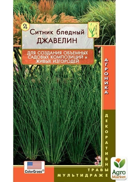 Ситник бледный "Джавелин" ТМ "Плазменные семена" 3шт