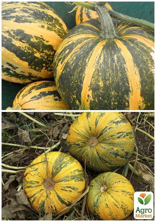 На развес Тыква "Голосеменная" ТМ "Весна" цена за 10г - фото 3